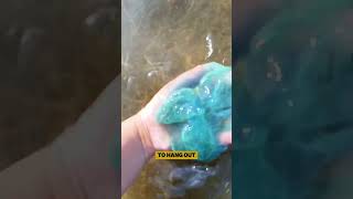 Are all Jellyfish dangerous jellyfish facts shorts seaanimals [upl. by Aseen]