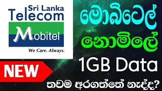 Mobitel Free Data  2024  Sinhala  mobitel freedata free [upl. by Scever]