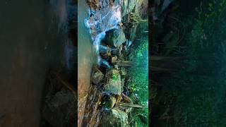 Sileru waterfall waterfall cinematic nature status travel andrapradesh [upl. by Joane567]