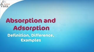 Absorption and Adsorption  Definition Difference Examples [upl. by Kiel]