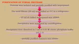 Protease Production Part 2 [upl. by Annawaj106]