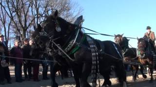 Bad Tölz Leonhardifahrt 2015 [upl. by Ahsyekal]