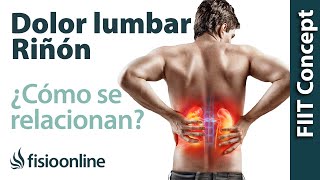 Riñón y dolor de espalda en la zona lumbar  ¿Cómo se relacionan [upl. by Rolfe]