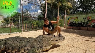 Meet Don Coco The Blind Croc with a Gentle Bite 🦷👀 [upl. by Lynden]