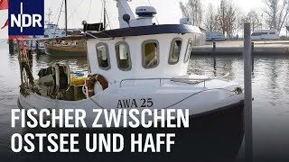 Zwischen Ostsee und Haff  Vom Überlebenskampf der letzten Fischer  Die Nordreportage  NDR [upl. by Attenohs]