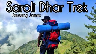 Saroli Dhar Trek 10000ft in Jammu  Trekking Vlog [upl. by Lavud679]