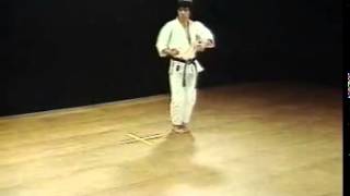 Heian Godan  Shotokan SKIF  Hirokazu Kanazawa [upl. by Seldan]