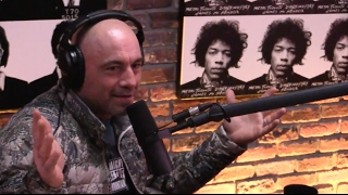 Joe Rogan Talks Georges StPierre Comeback quotGSP vs Nick Diaz is the perfect fight to makequot [upl. by Trebleht]