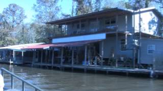 The Honey Island Swamp on the Pearl River in Louisiana [upl. by Bari687]