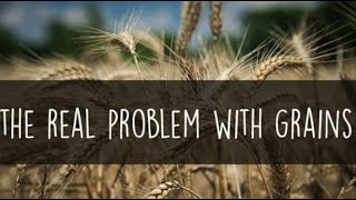 Non Wheat Grains Just As Damaging As Wheat GlutenVideo [upl. by Zeta]