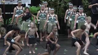 Taranaki Puanga Festival  Te Kāhui o Ngā Manu Hīhiri Waitara East [upl. by Duomham674]