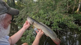 Bass and Grinnell Fishing in Dennis Lake Mobile Tensaw Delta [upl. by Basham374]