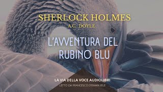 Sherlock Holmes Lavventura del Rubino Blu  AC Doyle  Audiolibro ITA [upl. by Khudari656]