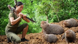 Lots of Sounds Coming From Underground Hastily Digging Into the Small Cave for Shelter [upl. by Spooner]