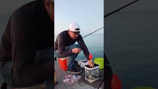 Sabiki fishing in Japan 🇯🇵 fishinglife fishingvideo fishingtips fishinglovers [upl. by Ecirtnas218]