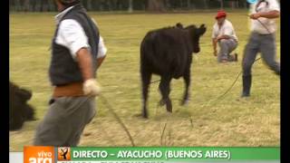 Vivo en Argentina  Bs As  Ayacucho  Destrezas gauchescas  190313 2 de 2 [upl. by Schramke]