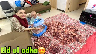 Qurbani ka Pehla din 😍  Eid ul adha Mubarak❤️ [upl. by Nohsauq]