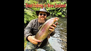 Trout fishing in New Zealand part 211 [upl. by Kramer]