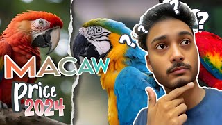 Macaw birds price in India 2024 🦜 Macaw birds baby price in India Macaw birds price update [upl. by Jayson]