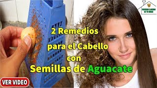 3 parte Cómo aplicar semilla de aguacate para la caída y crecimiento del cabello [upl. by Azarcon931]