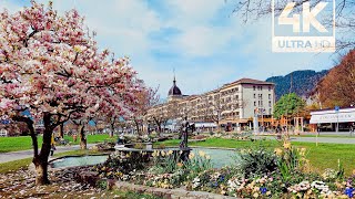 Switzerland 🇨🇭 Interlaken Spring walkingtour 4K UHD [upl. by Welcy]