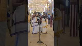 mallari Nadhaswaram Sri Natarajar Temple Deekshithars Reels Shorts [upl. by Armelda]