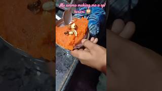 Mini vlog  14 my ammu make a spl kesari 🥰 RJAMMU food sweet minivlog [upl. by Honorine593]