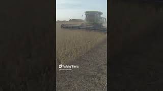 Soybeans harvest farm agriculture [upl. by Asilat]