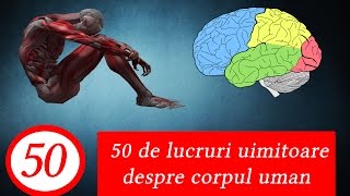 50 de lucruri uimitoare despre corpul uman [upl. by Sverre]