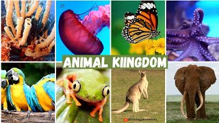 Animal Kingdom Major Phyla with Examples  Phylum Porifera to Class Mammalia  NEET Biology [upl. by Kragh]