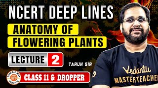 ANATOMY OF FLOWERING PLANTS CLASS 11  NCERT DEEP LINES  COMPLETE NCERT FOR NEET 2025 BY TARUN SIR [upl. by Cloutman104]