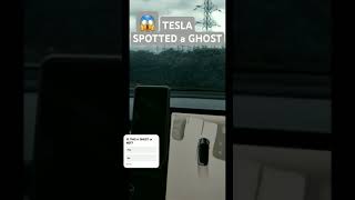 Tesla Camera Spotted a Ghost 😱👻 tesla model3 ghost paranormalactivity ev spooky car auto [upl. by Rebekkah]