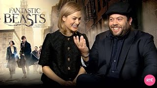 Dan Fogler amp Alison Sudol talk Fantastic Beasts and Where to Find Them [upl. by Lyndsey266]