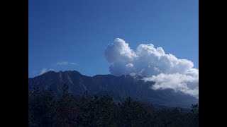 Sakurajima Sonntag 17 November 2024 [upl. by Macleod]