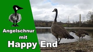 Angelschnur mit Happy End  Tiernotruf 197 [upl. by Giralda]