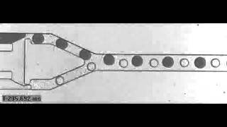 Droplet based microfluidics ESPCI LBC Interdigitation [upl. by Princess]