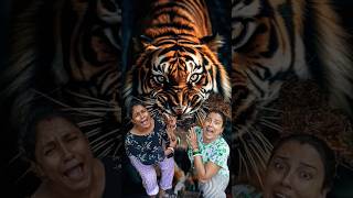 tiger attack করল 😱 cartoonshorts horrorstory cartoon story tiger funny banglacratoon comedy [upl. by Fayina]