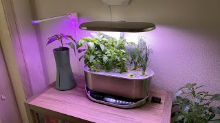 AeroGarden Review  Is It Worth It Day 35 [upl. by Heddie]