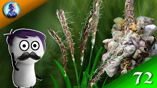 🍄USTILAGO LIFE CYCLE USTILAGO FUNGI ANIMATION USTILAGO BSC HINDI [upl. by Airekahs]