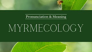 How to Pronounce Myrmecology  British Pronunciation amp Meaning [upl. by Yendyc]