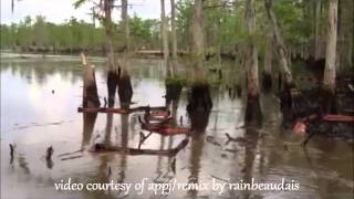 Bayou Corne Sinkhole Swallows Trees On Video [upl. by Min403]