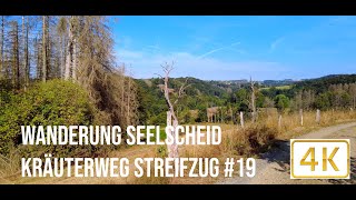 Wanderung Seelscheid Kräuterweg  Streifzug 19  POV  4K [upl. by Leaj]