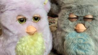 funny furbies furby 2005 amp furby 2006 [upl. by Ajnin406]