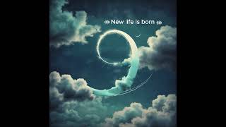 เพลง New life is born SUNO BEAR [upl. by Bogey860]