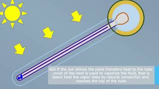 How does the evacuated tube solar water collector work [upl. by Irpac]