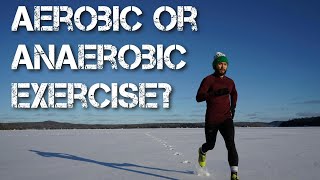 Aerobic or Anaerobic Exercise [upl. by Nahsrad334]