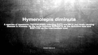 Medical vocabulary What does Hymenolepis diminuta mean [upl. by Hastings421]