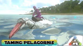 Akhirnya Taming Pelagornis si bebek laut  Ark Mobile New Journey [upl. by Harleigh83]