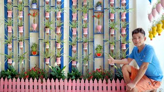 DIY Vertical Wall garden from Plastic Bottles and Wood for Porch Garden [upl. by Ylaek]