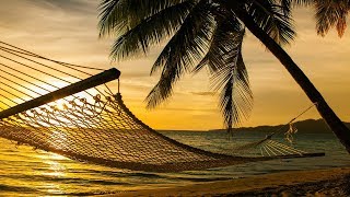 Guided Meditation Sleep Talk Down Sleeping Hammock Hypnosis for Sleep Relaxation [upl. by Ltney]